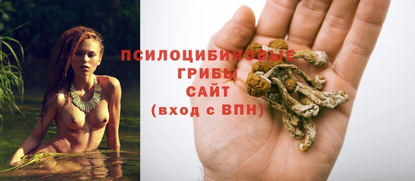 ГАЛЛЮЦИНОГЕННЫЕ ГРИБЫ Наволоки