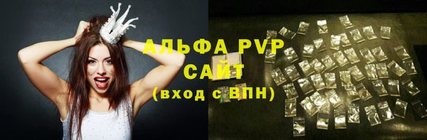 стаф Алексин