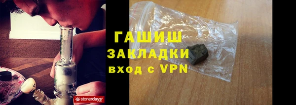 прущие грибы Алзамай