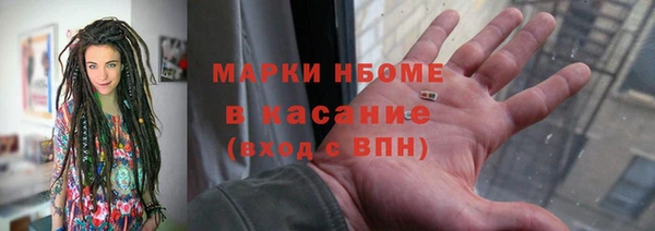 прущие грибы Алзамай
