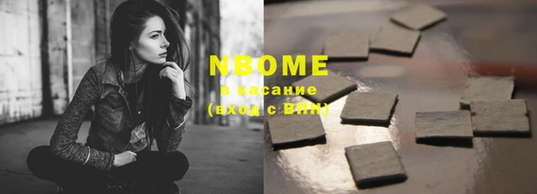 прущие грибы Алзамай