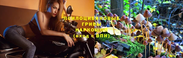 стаф Алексин