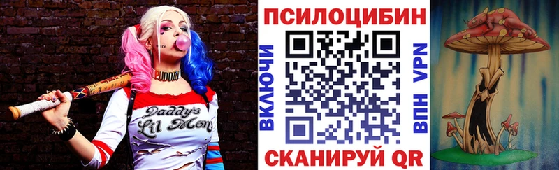 Псилоцибиновые грибы ЛСД  omg как войти  Олонец 